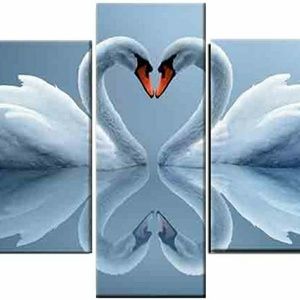 Meet your Posher, Swan